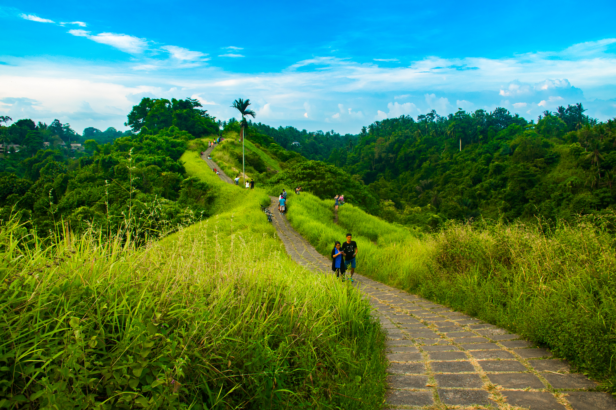 Stezka Campuhan, Bali