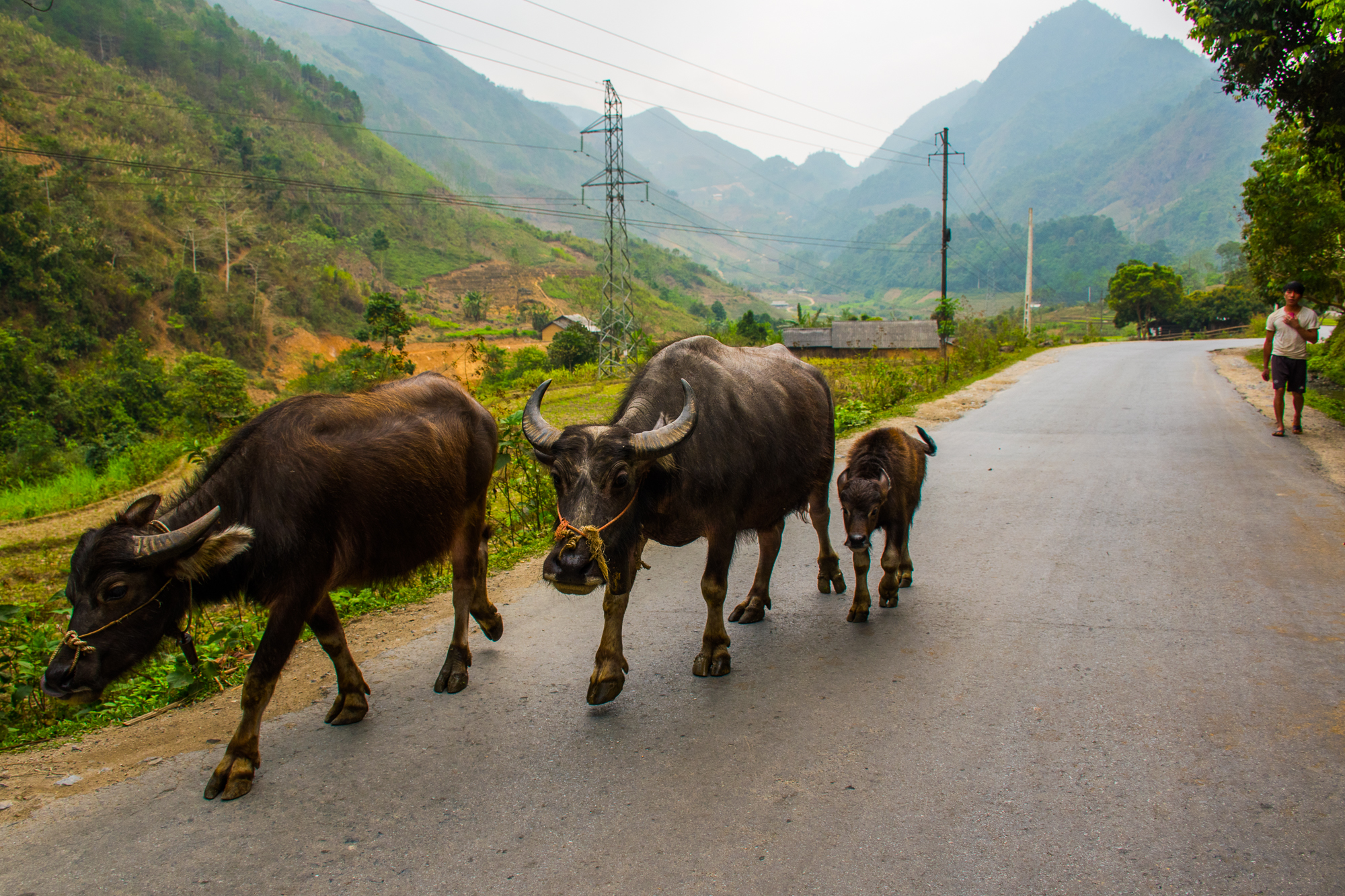 Ha Giang Okruh Severním Vietnamem
