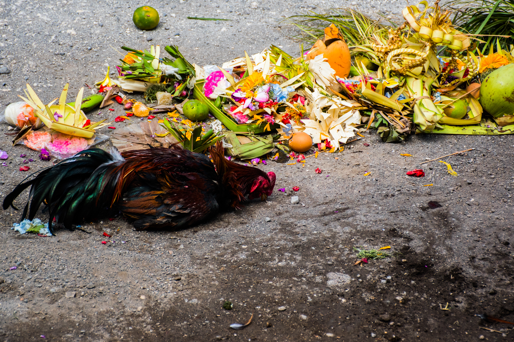 Fotoreport: Hinduistický ceremoniál na Bali