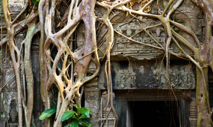 10. týden v Asii: Siem Reap a Angkor Wat, Kambodža