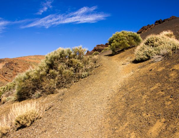 Tenerife: První krůčky v národním parku Teide