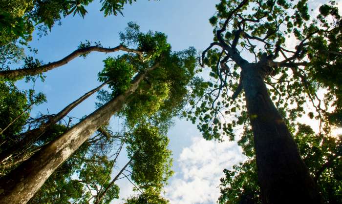 5 zajímavosti v přírodě na ostrově Koh Lanta