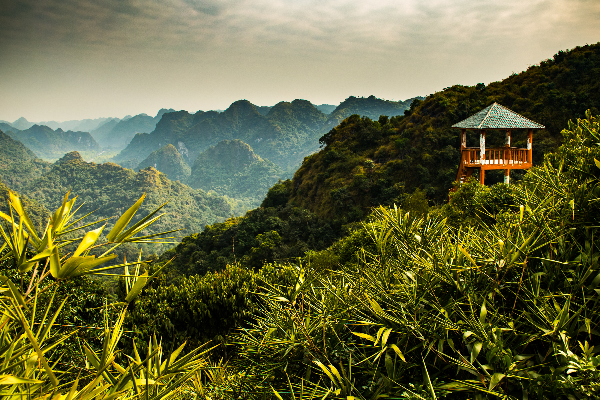 Cat Ba, Ngu Lam
