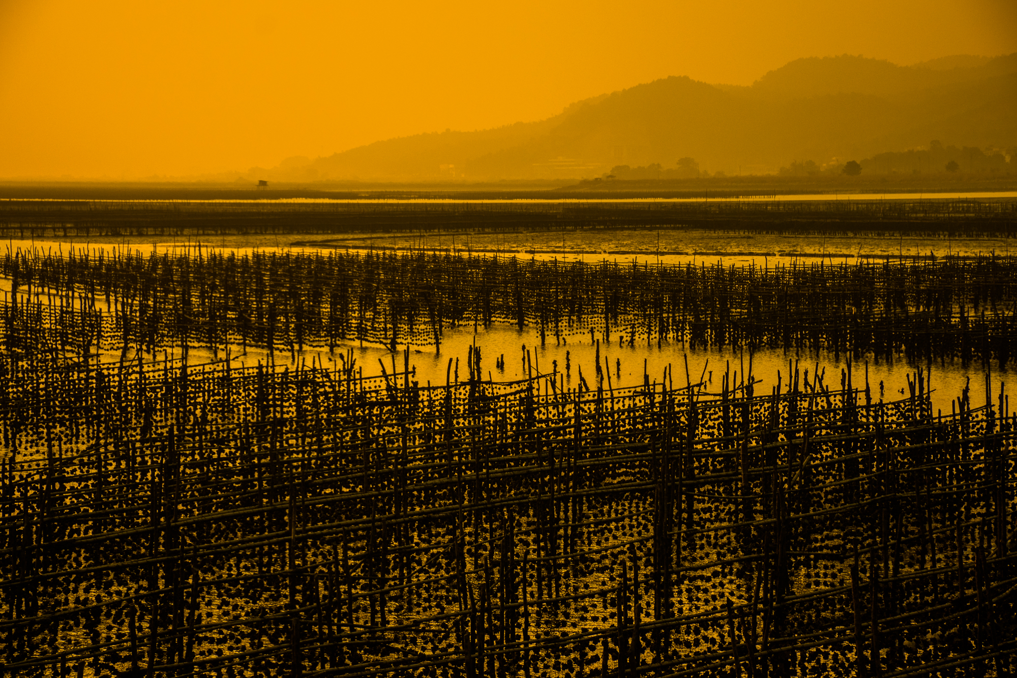 Farma &uacute;střice Vietnam