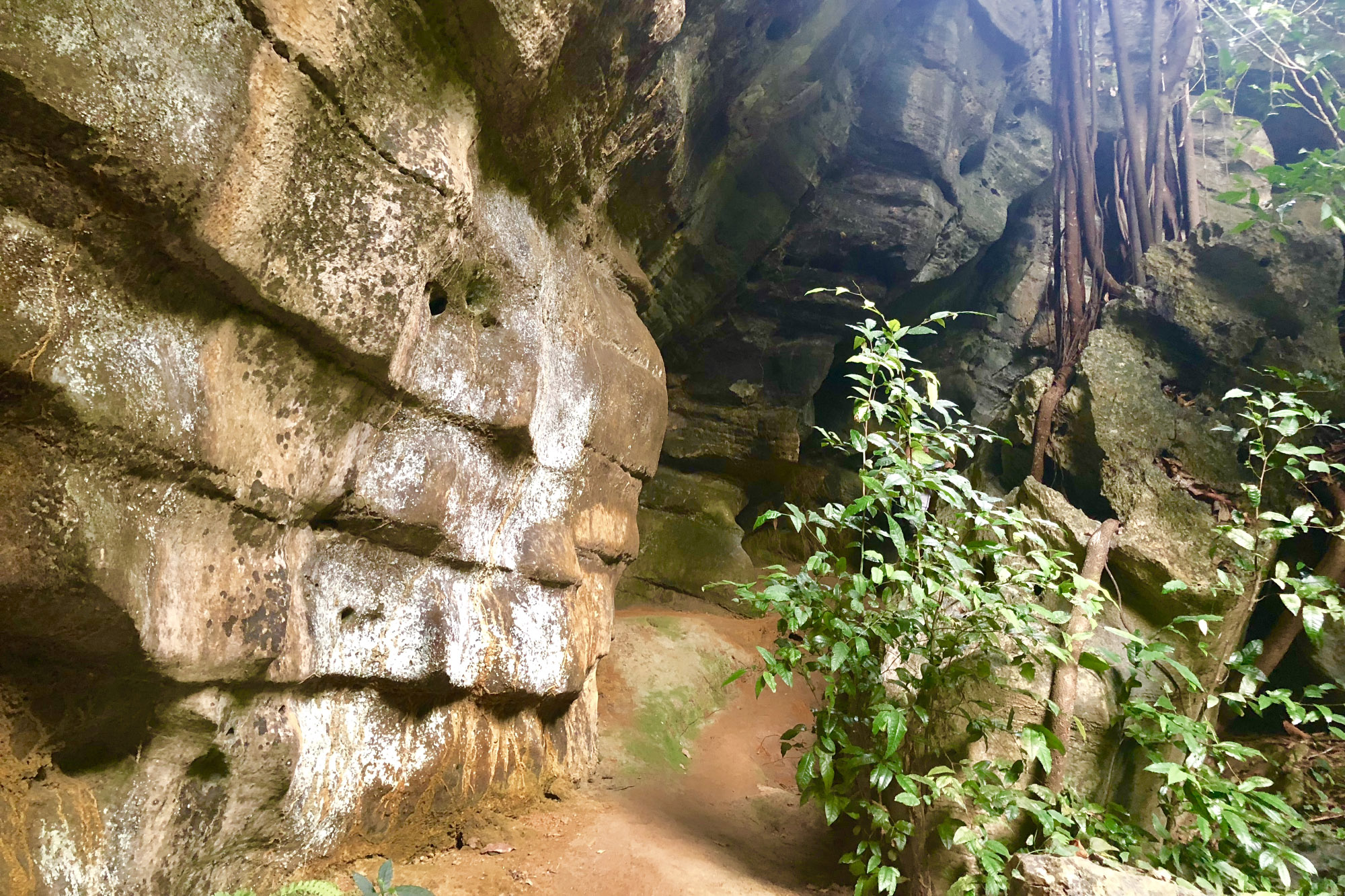 Tajupln&aacute; jeskyně Tiger Cave