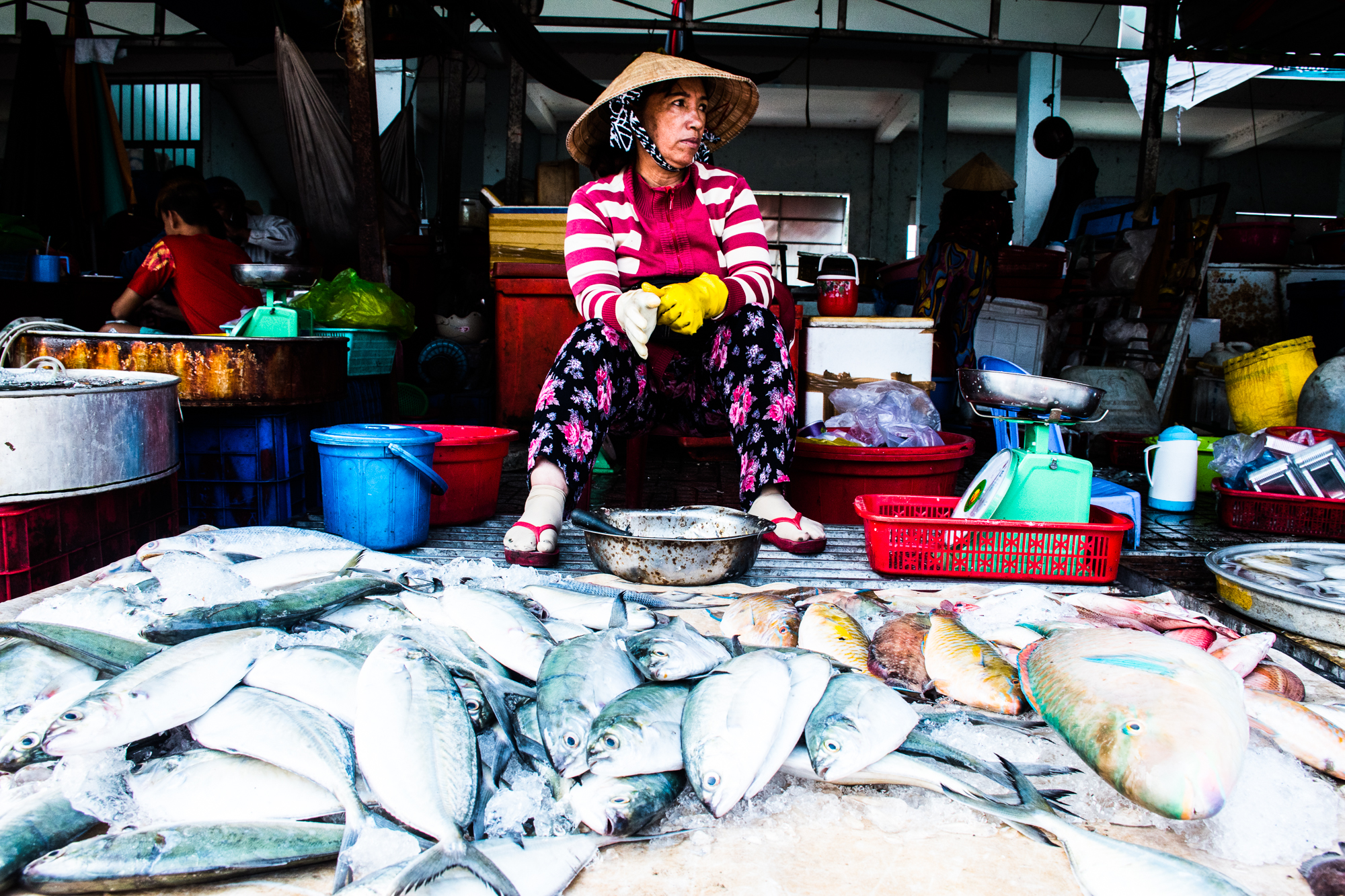 Phu Quoc Trh