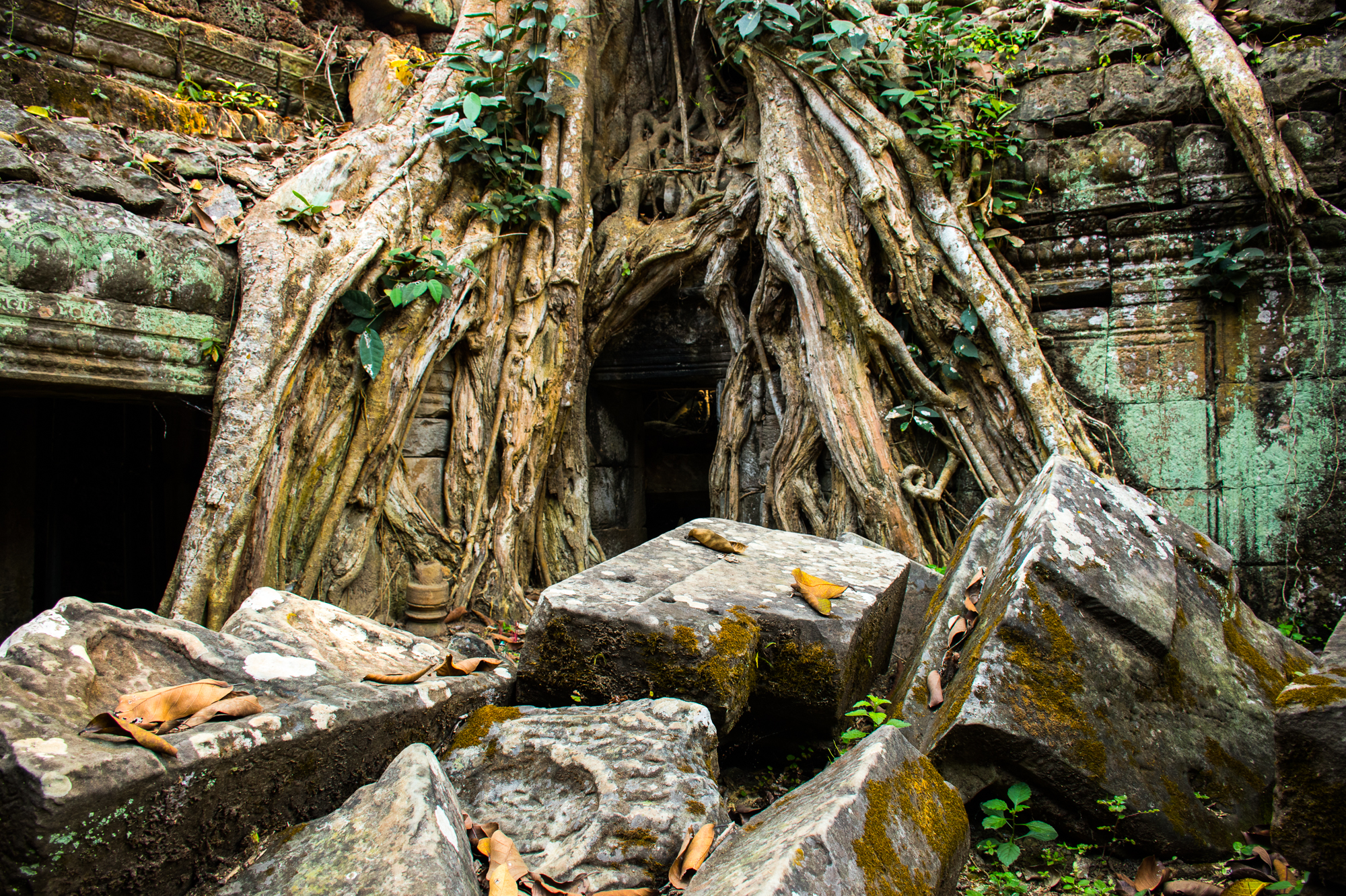 Ta Phrom