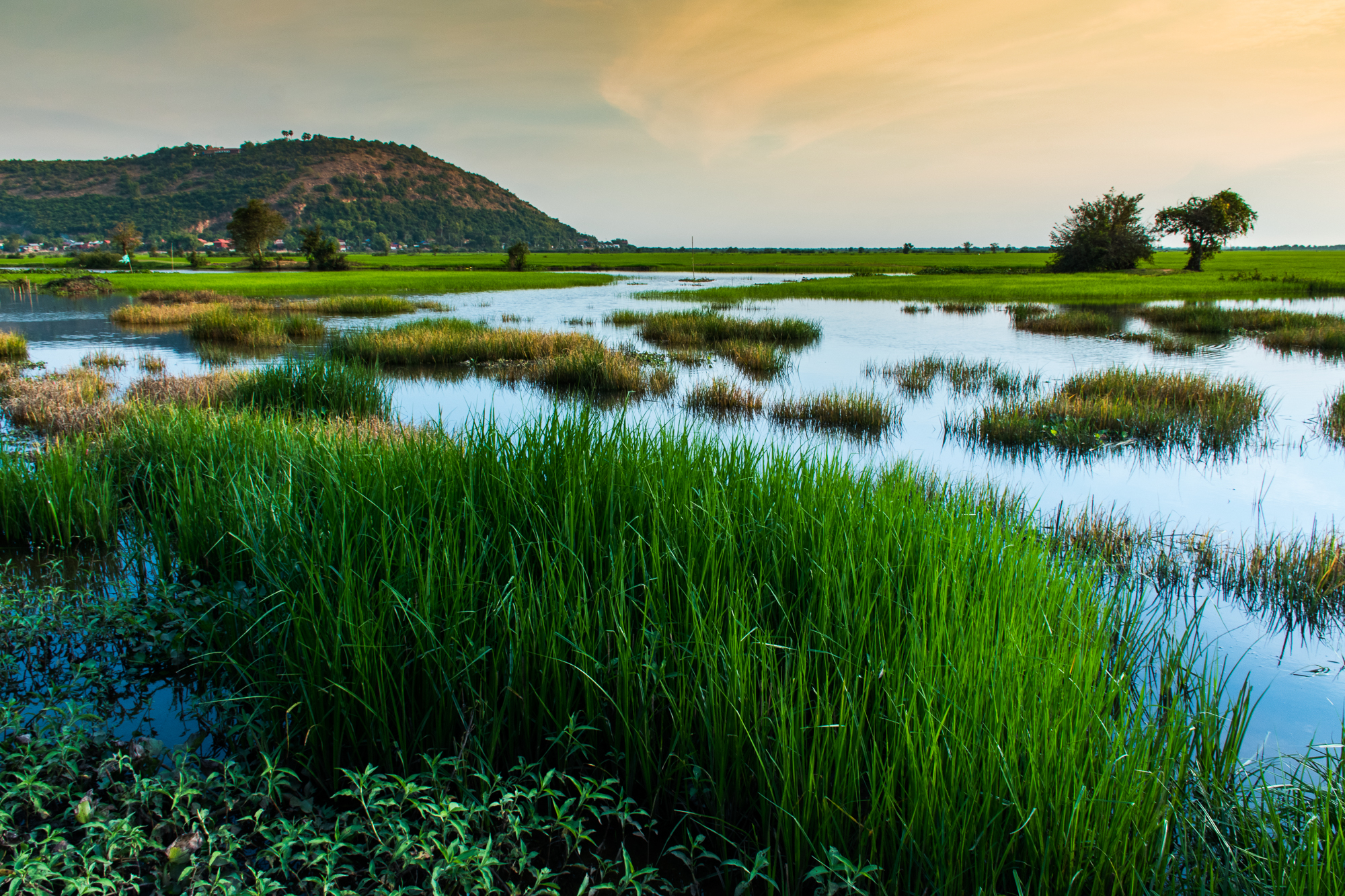 Phnom Krom