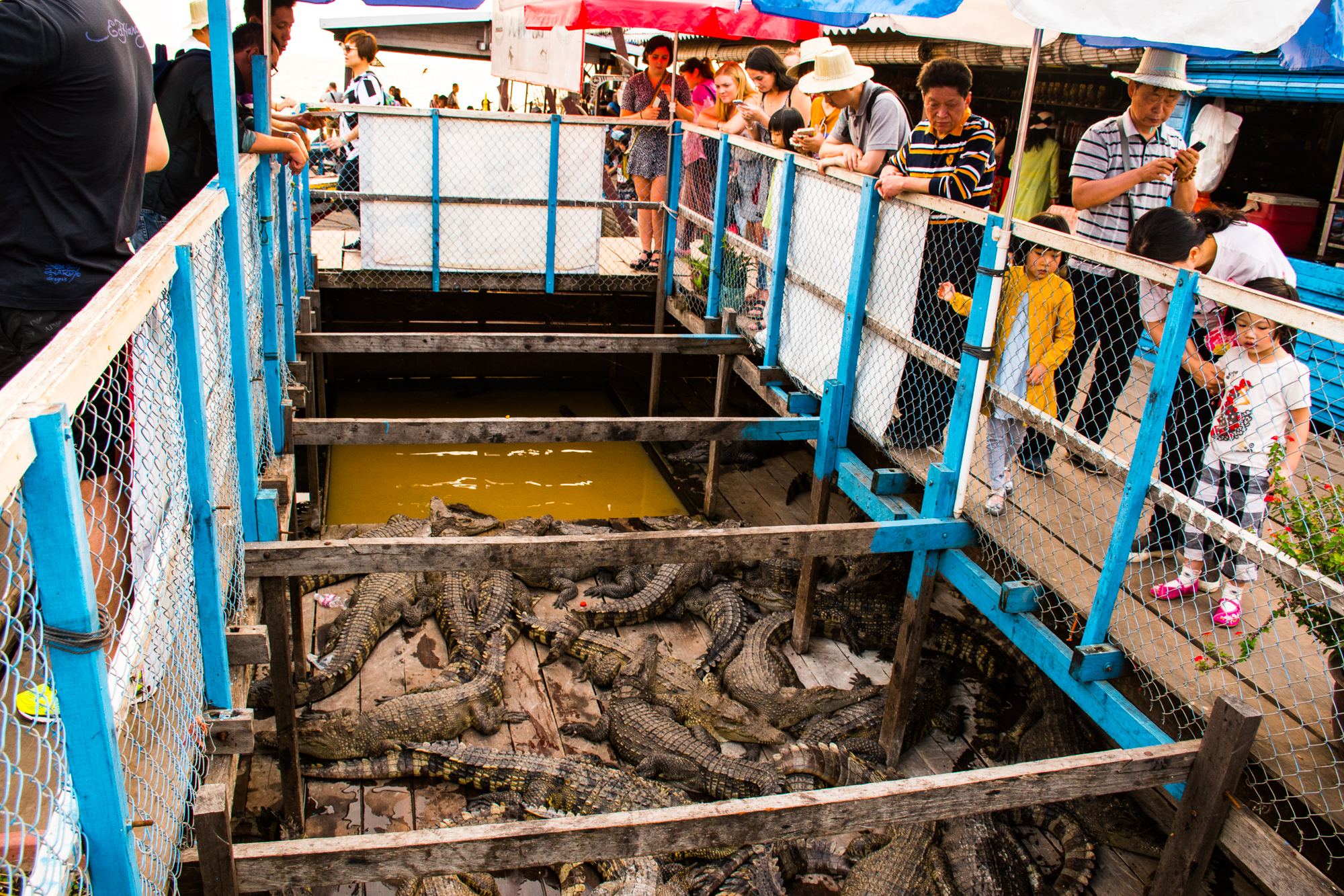 Krokod&yacute;li Tonl&eacute;sap